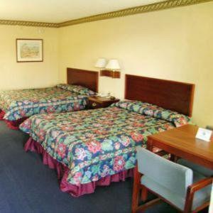 Regency Inn & Suites - Saint Augustine St. Augustine Beach 部屋 写真
